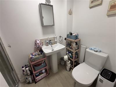 Picture 12